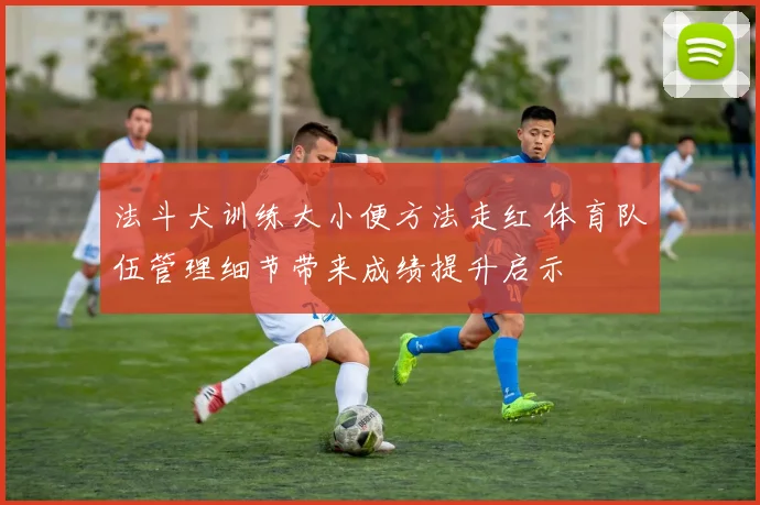 法斗犬训练大小便方法走红 体育队伍管理细节带来成绩提升启示