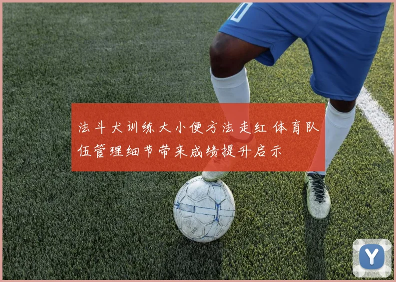 法斗犬训练大小便方法走红 体育队伍管理细节带来成绩提升启示