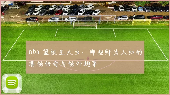 nba 篮板王大虫，那些鲜为人知的赛场传奇与场外趣事