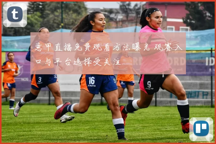 意甲直播免费观看方法曝光 观赛入口与平台选择受关注