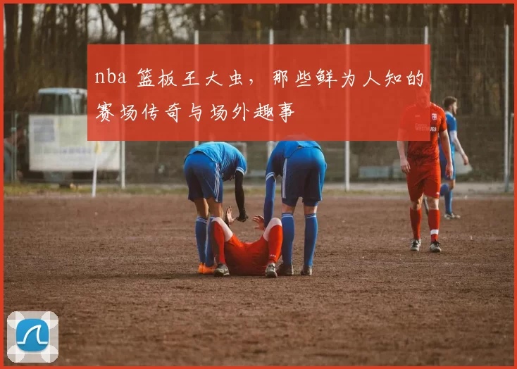 nba 篮板王大虫,那些鲜为人知的赛场传奇与场外趣事
