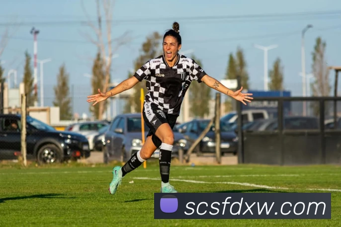 开云app在线入口平台生态图