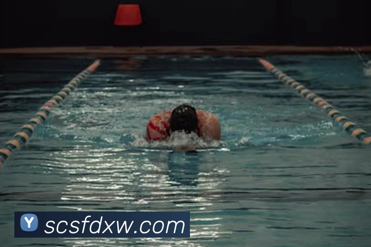 开云app在线入口APP 封面图